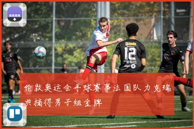 伦敦奥运会手球赛事法国队力克瑞典摘得男子组金牌